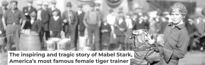 Mabel Stark tamed tigers – and even wrestled with them. Circus and Allied Arts Collection, Illinois State University's Special Collections, Milner Library